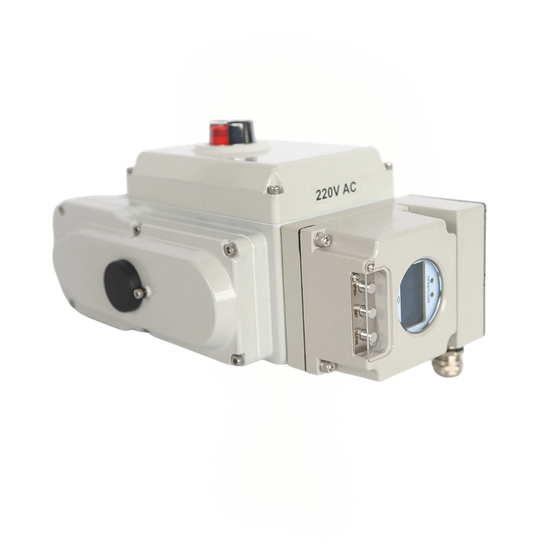 Intelligent Compact Electric Actuator 1 Intelligent Compact Electric Actuator 1