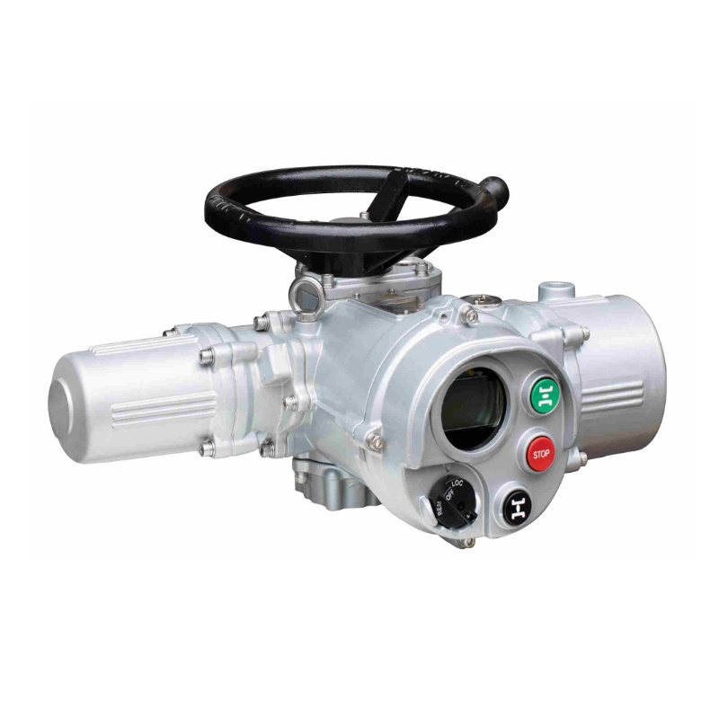 DKM Multi-rotary Intelligent Electric Actuator 1