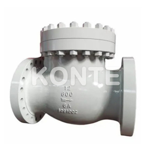 Flanged Pressure Seal Check Valve