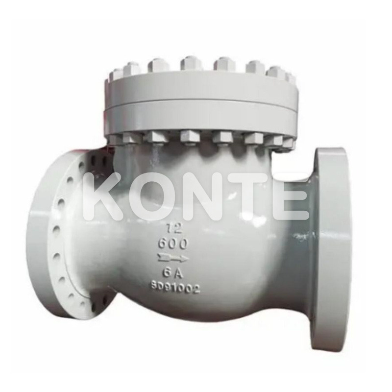 Flanged Pressure Seal Check Valve