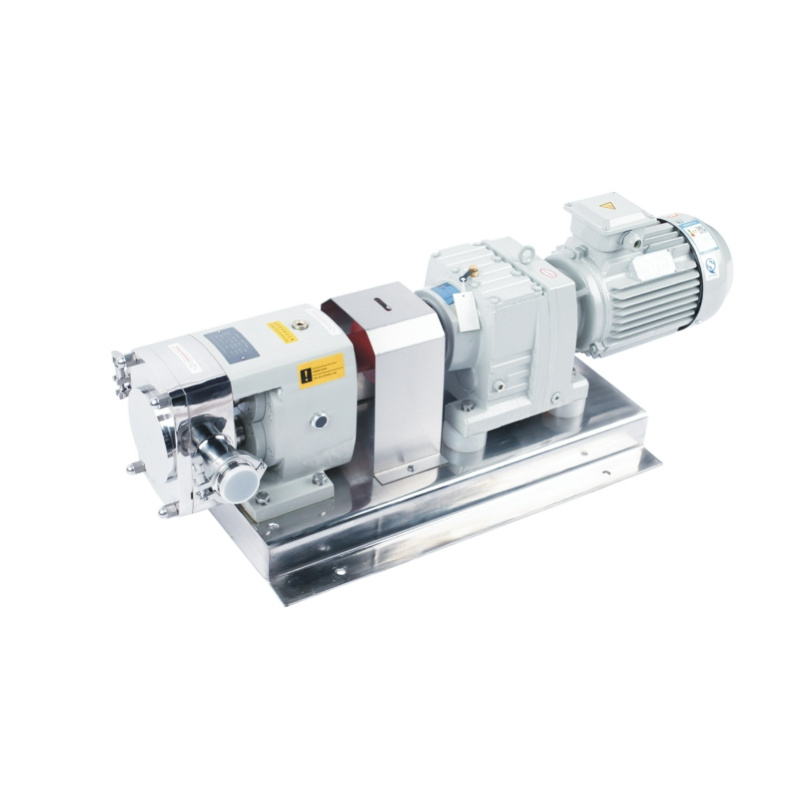 Rotary Lobe Pump 1.jpg