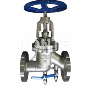 Stainless Steel Globe Valve with Blow-out/Flush Ports