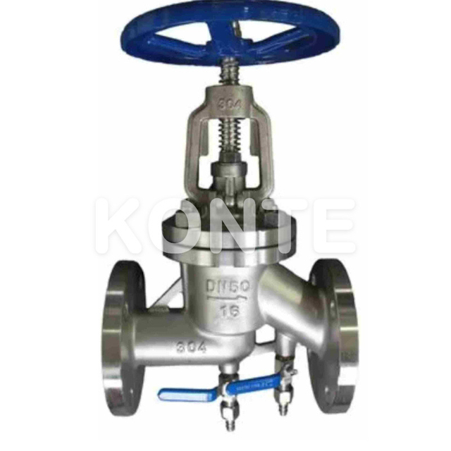 Stainless Steel Globe Valve with Blow-out/Flush Ports