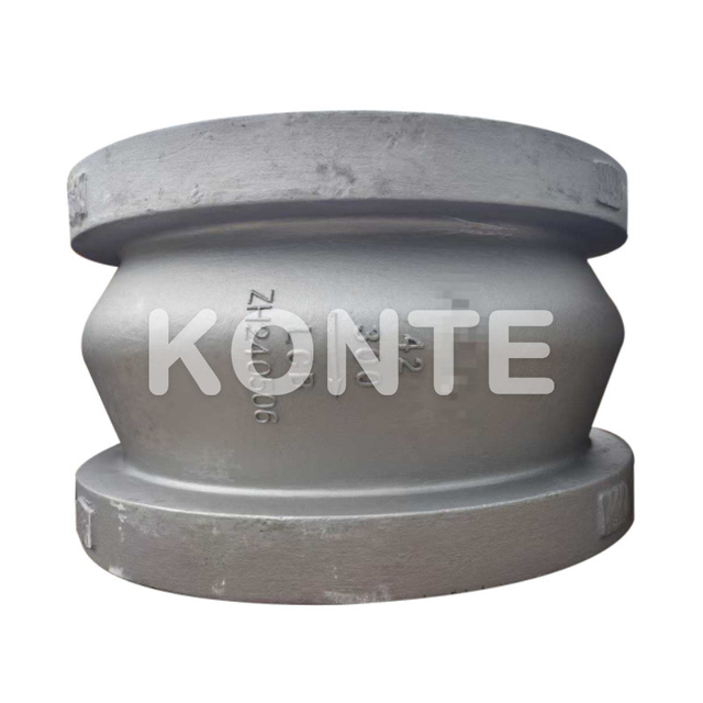 Axial Flow Check Valve